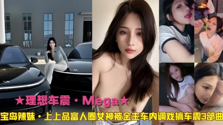 理想车震Mega宝岛辣妹上上品富人圈女神被金主车内调戏搞车震3部曲